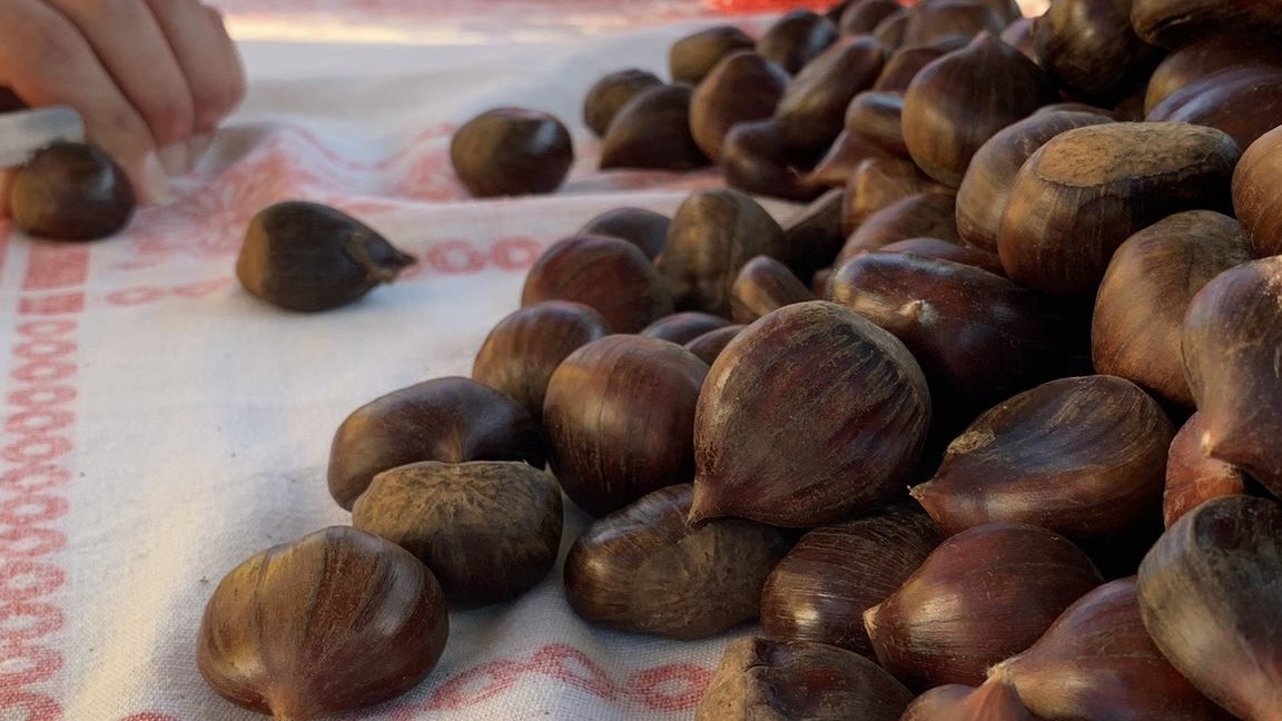 Castagnata Bubini – 1ª Ed.