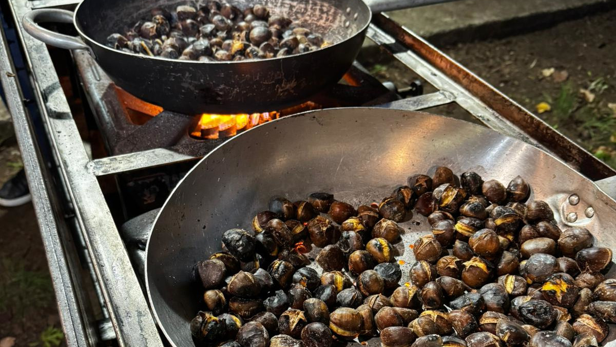 Castagnata Bubini – 2ª Ed.