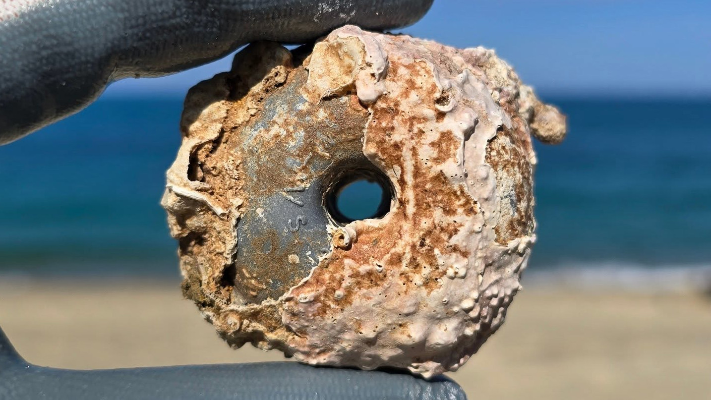 Giornata per l’Ambiente – 1ª Ed.